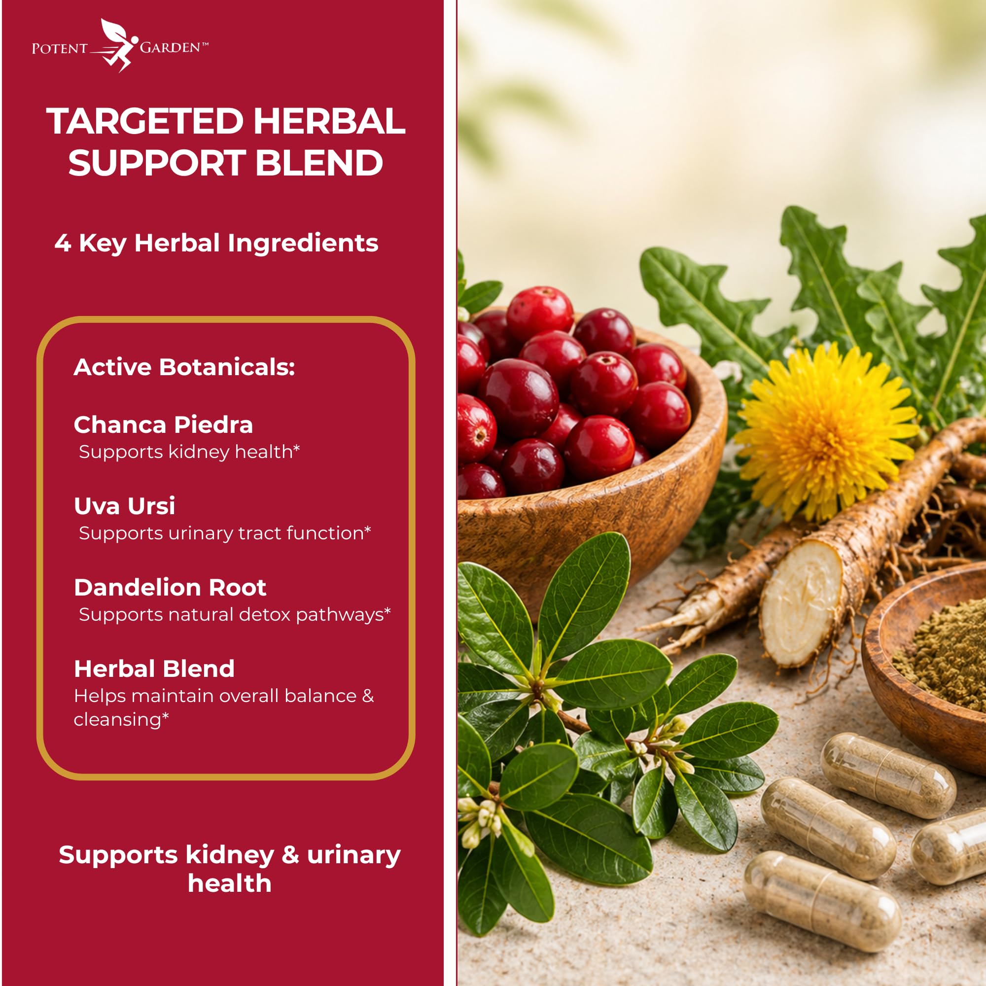 Potent Garden supplement with water glass