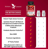 Potent Garden Urinary Support Cranberry Capsules 500mg opened bottle