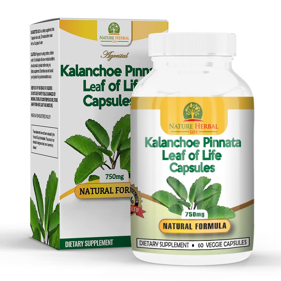 Pousutong Kalanchoe Pinnata Capsules 90 count bottle front view