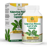 Pousutong Kalanchoe Pinnata Capsules 90 count bottle front view