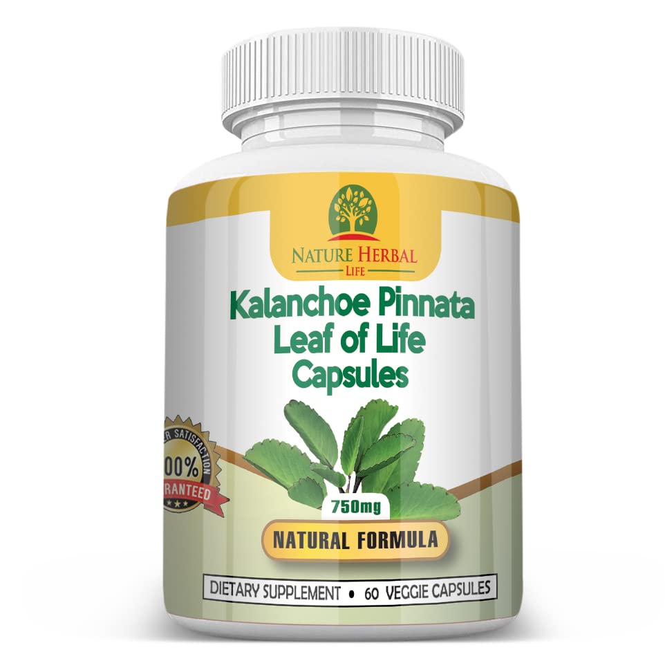 Pousutong Kalanchoe Pinnata Capsules displayed on a wooden table