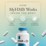 Powders HMB + D3 Supplement side view of packaging