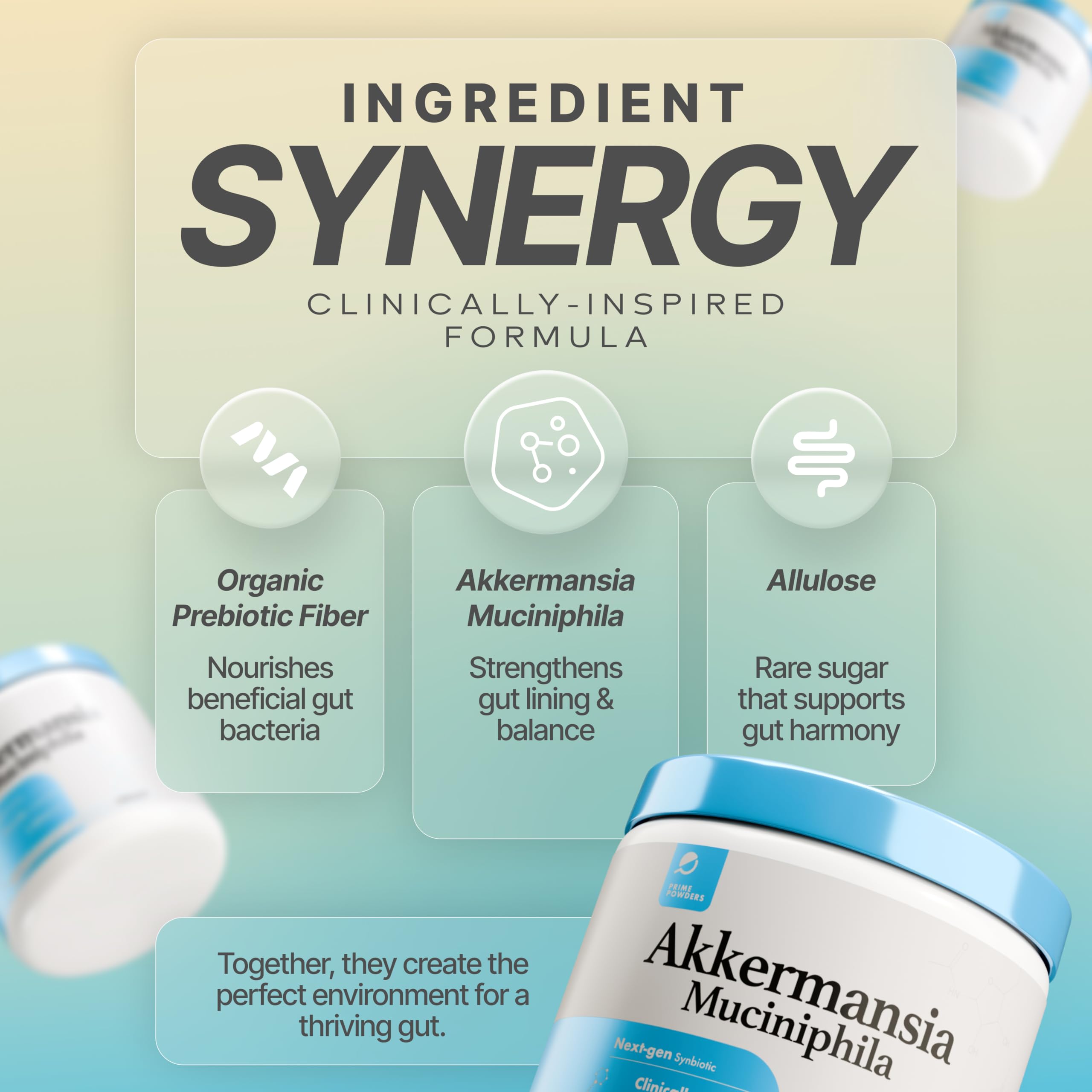Powders Prebiotic Powder serving suggestion in smoothie