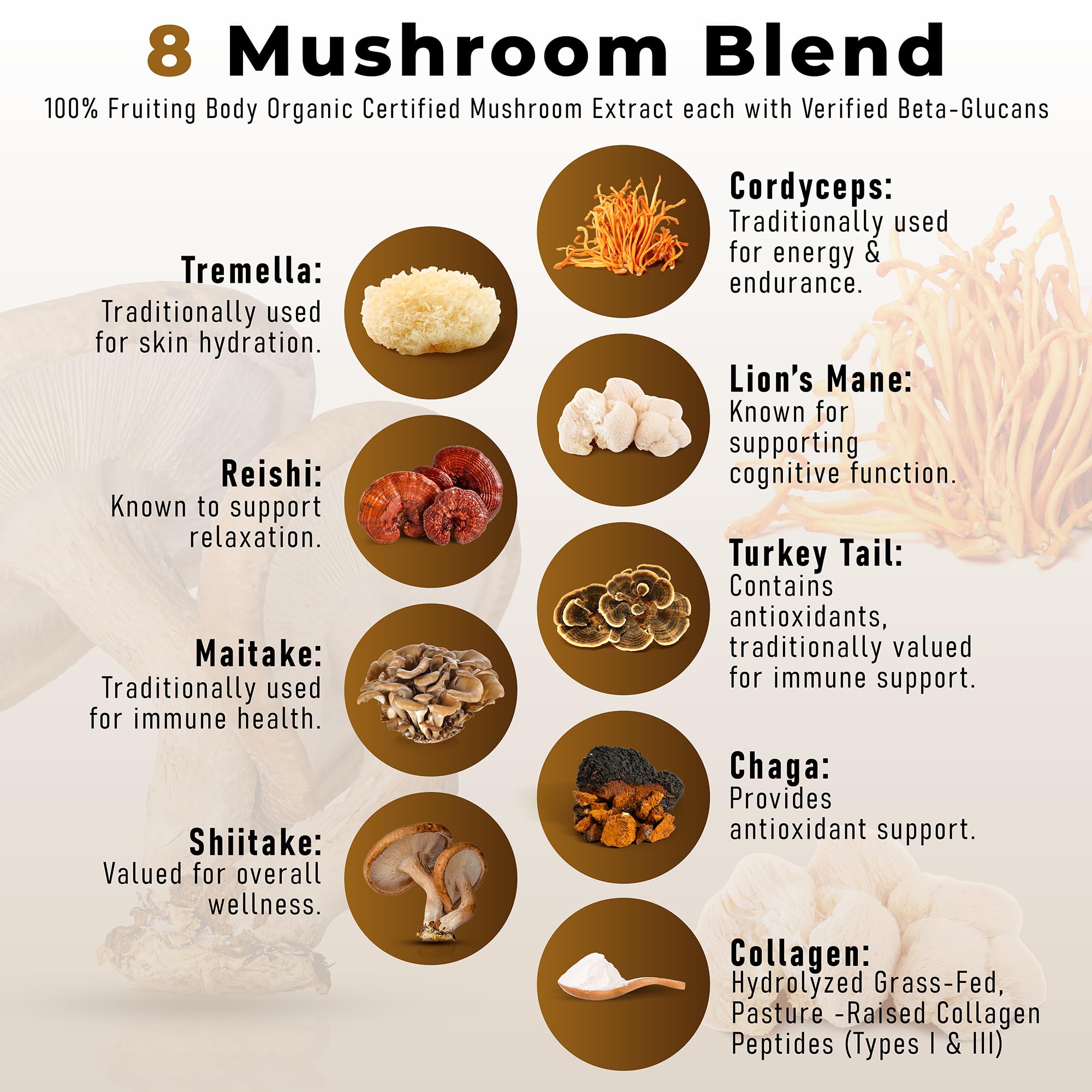 PowderVitamin Mushroom Powder Plus Organic Coffee scoop and powder