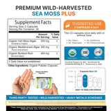 Power By Naturals Sea Moss Plus Capsules side view