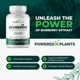 POWERED X PLANTS Berberine HCL Capsules bottle with label