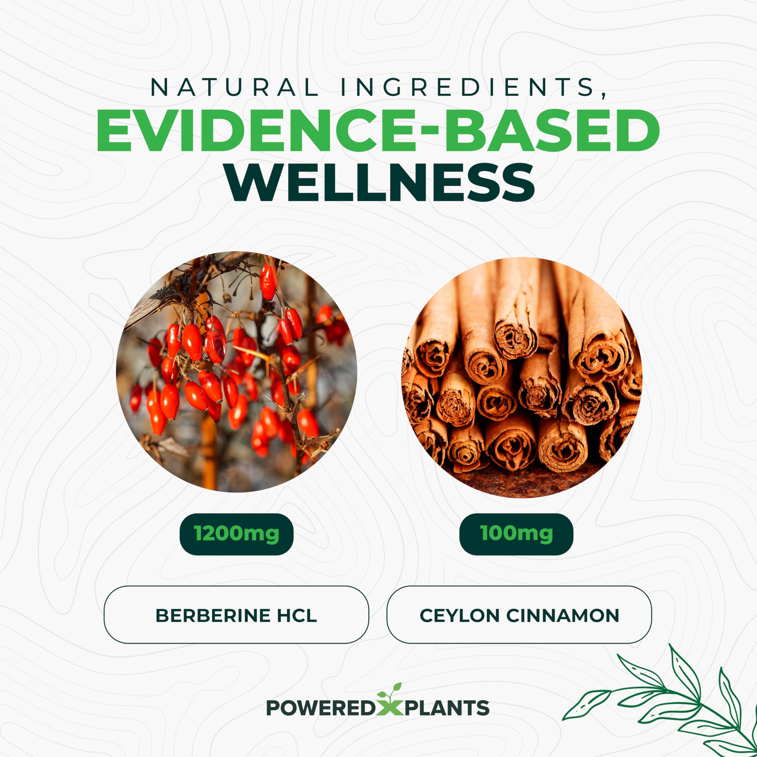 POWERED X PLANTS Berberine HCL Capsules capsules on a wooden surface