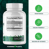 POWERED X PLANTS Berberine HCL Capsules in a lifestyle setting
