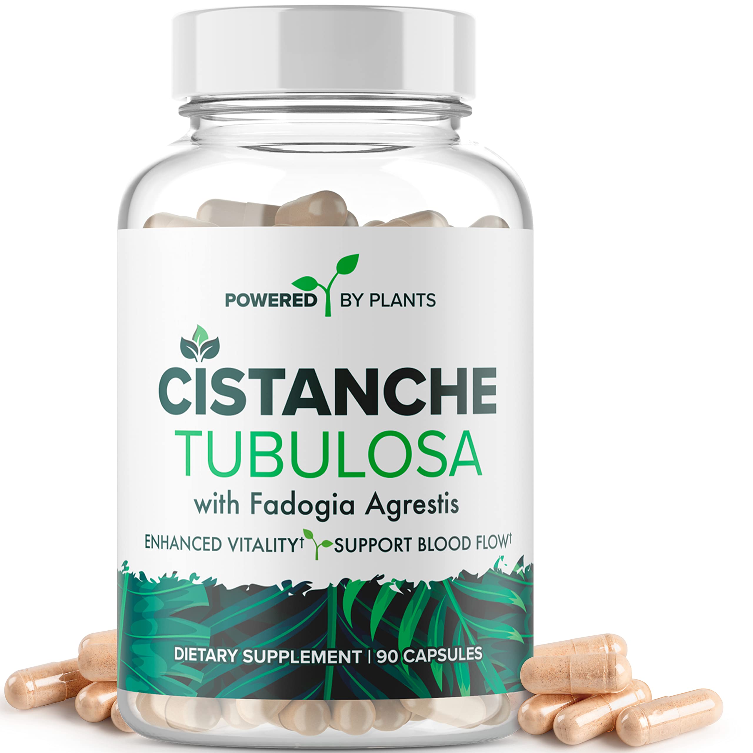 POWERED X PLANTS Cistanche Extract Capsules front view