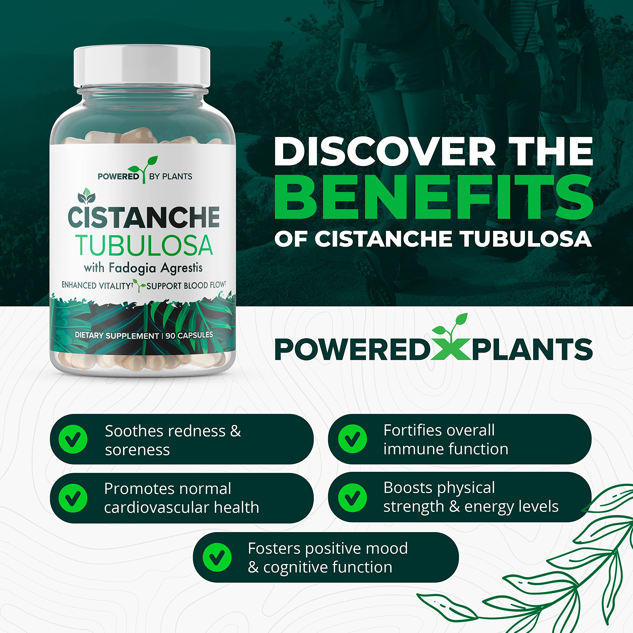 POWERED X PLANTS Cistanche Extract Capsules packaging