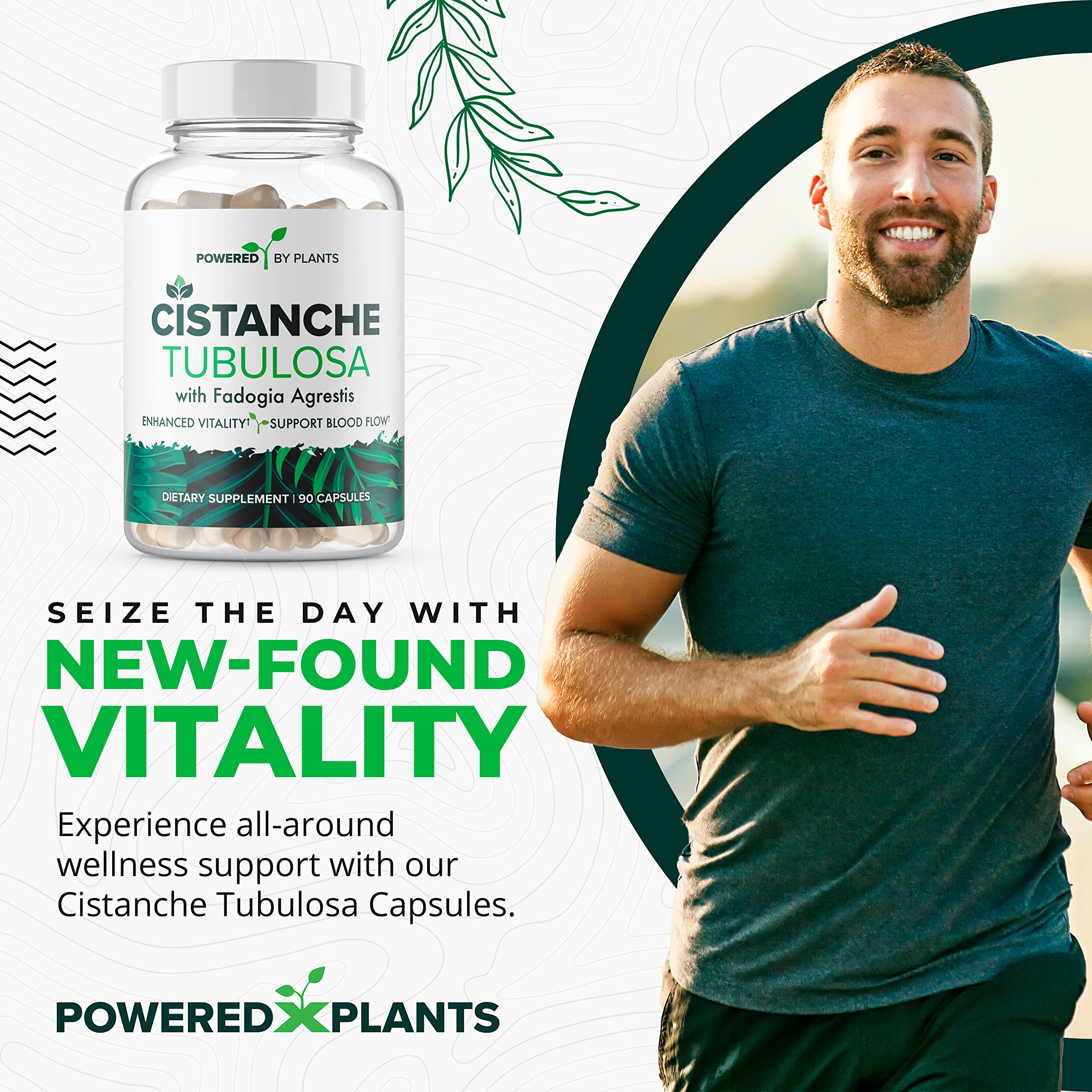 POWERED X PLANTS Cistanche Extract Capsules side view
