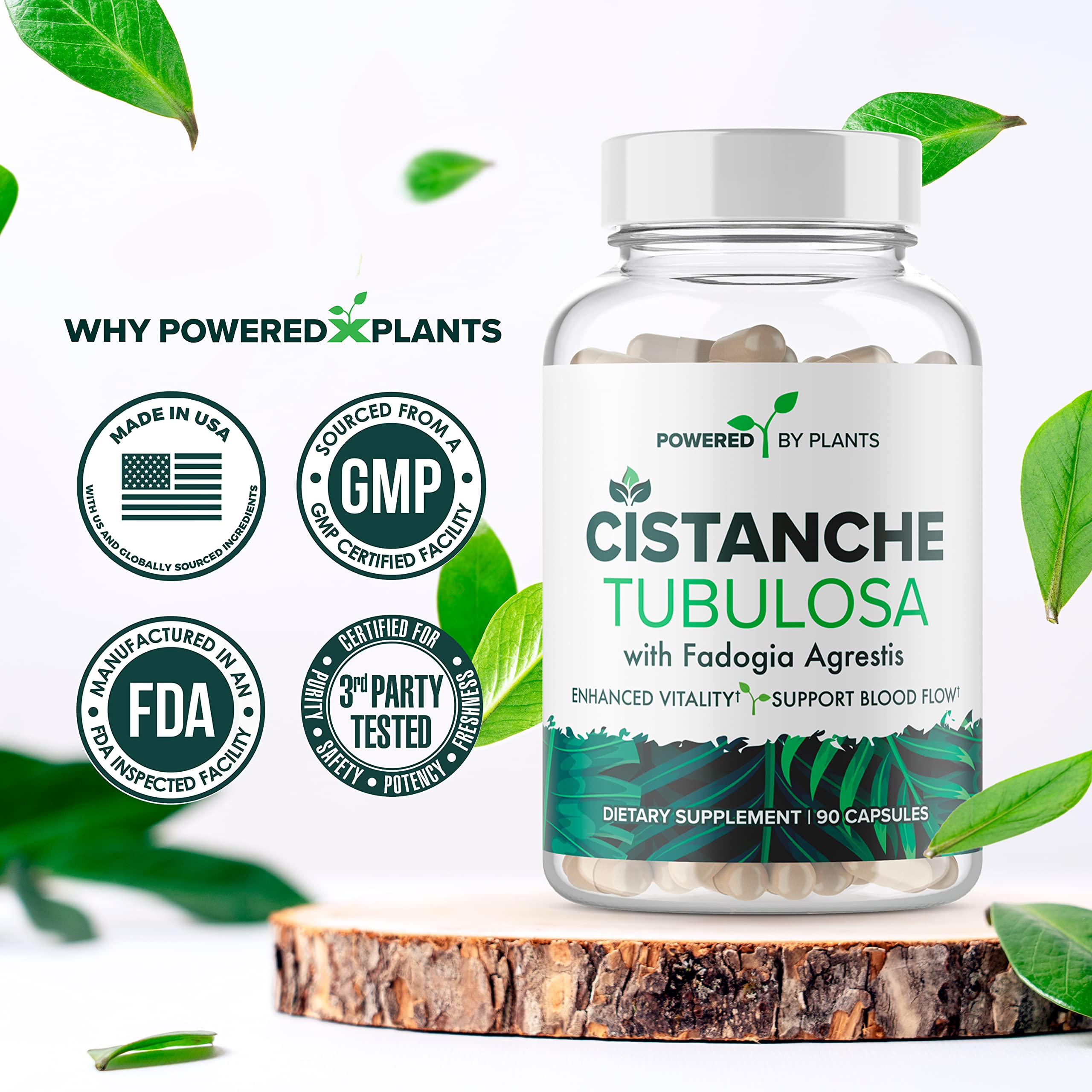 POWERED X PLANTS Cistanche Extract Capsules with a measuring spoon