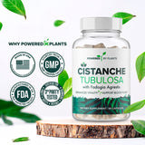 POWERED X PLANTS Cistanche Extract Capsules with a measuring spoon