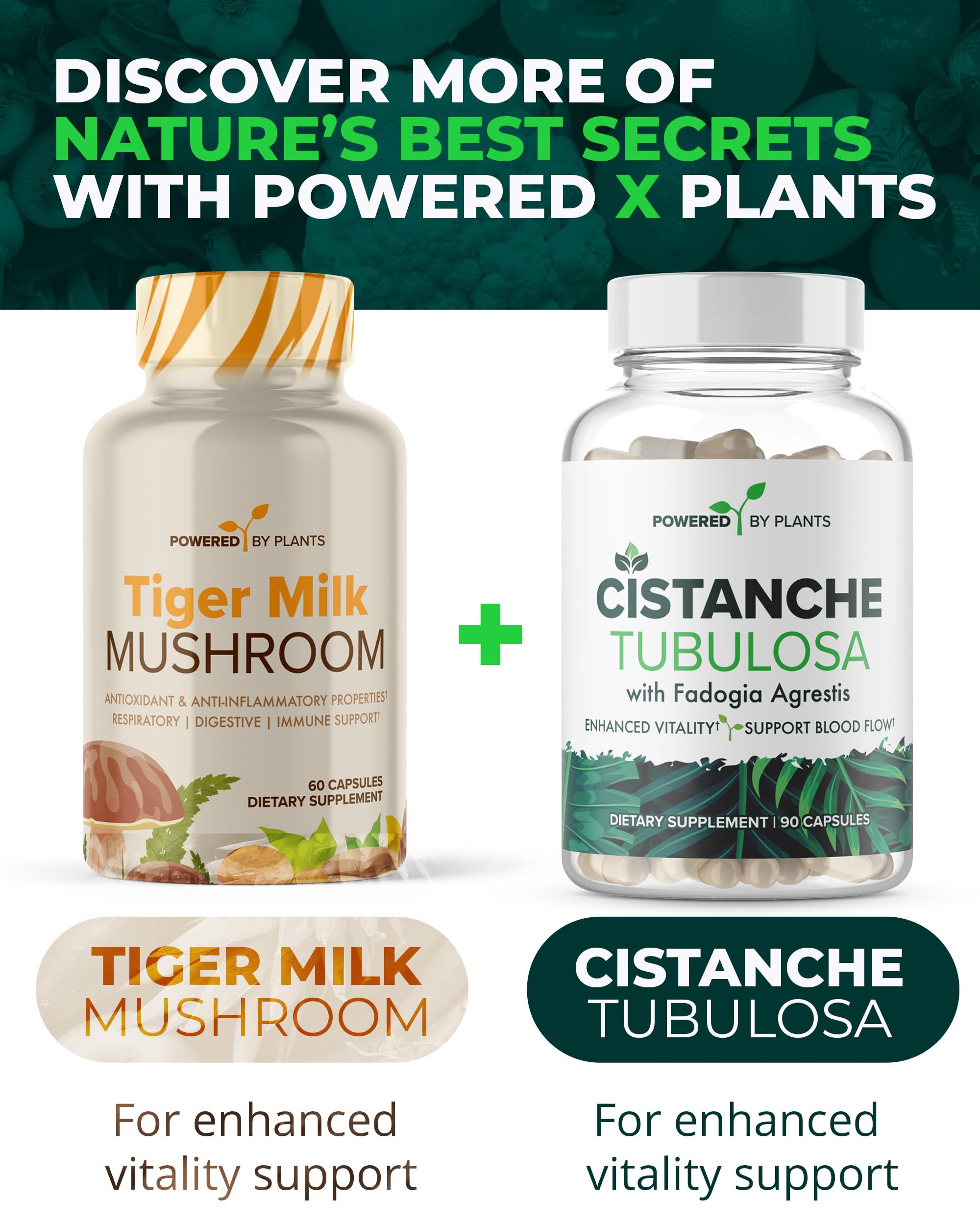 POWERED X PLANTS Tiger Milk Mushroom Capsules with herbal background