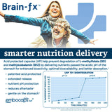 PPO Lab B-Complex Nootropic Capsules back view