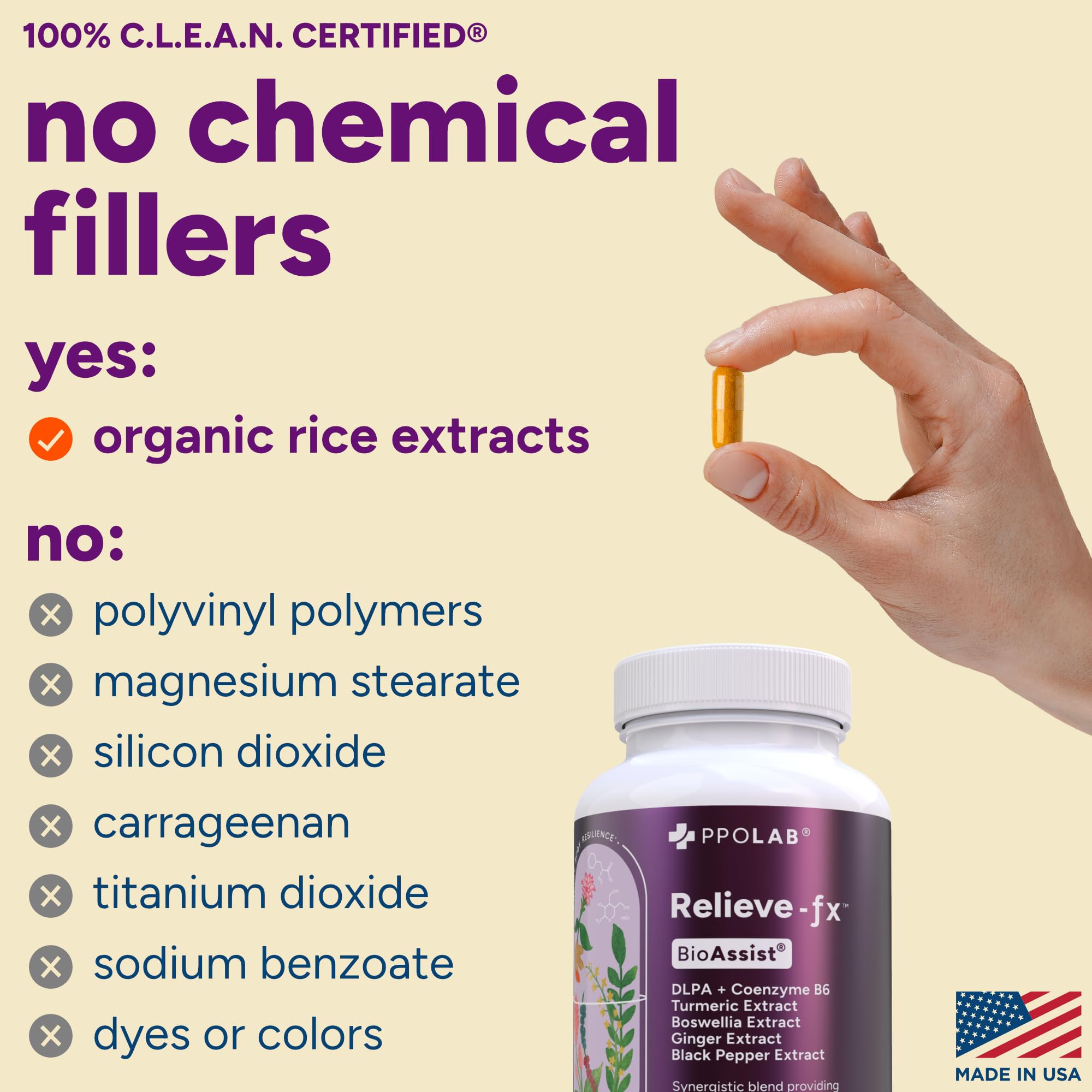 PPO Lab Turmeric Supplement lifestyle scene on kitchen counter