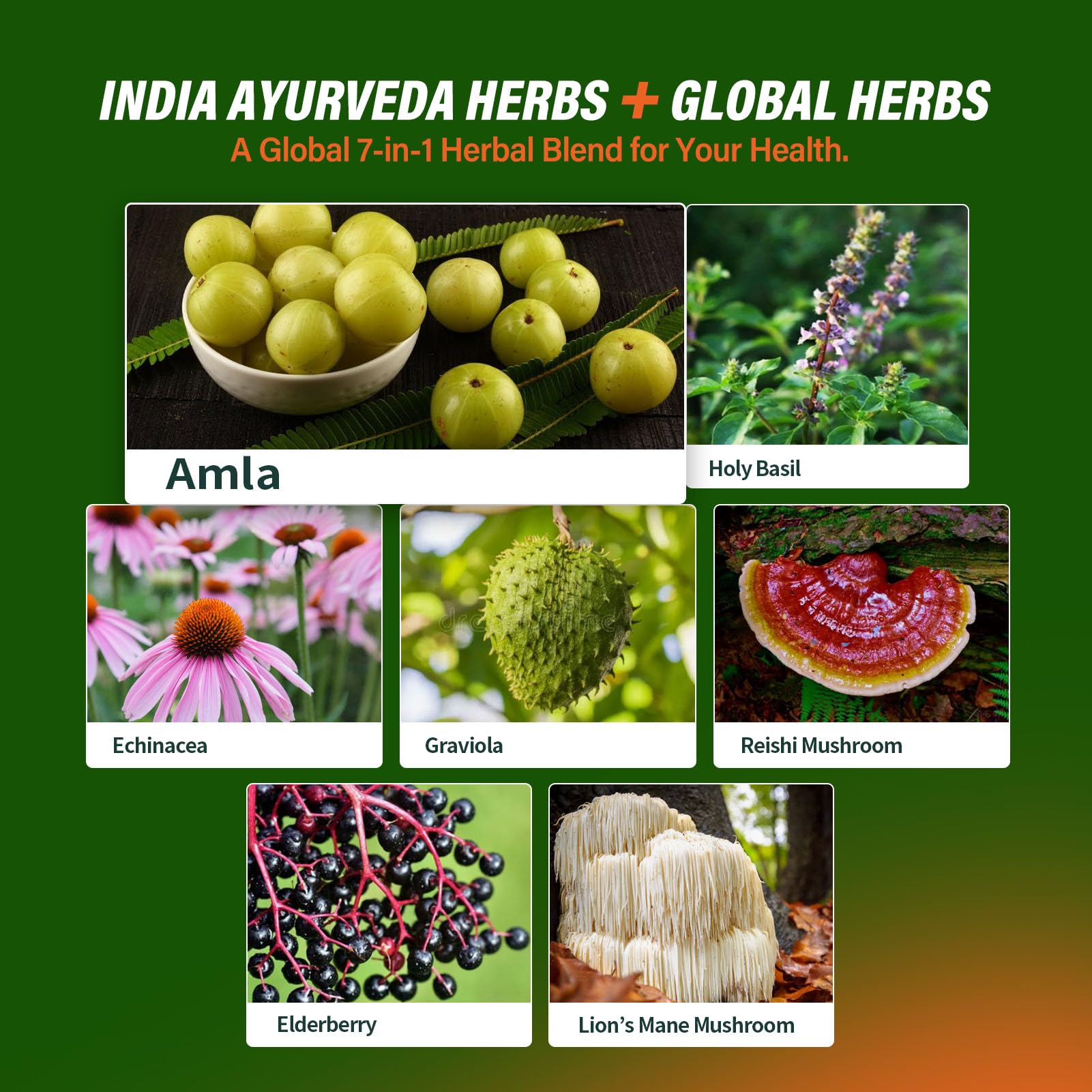 PranaBloom Amla Extract Drops in lifestyle setting