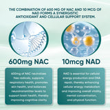 PRCYZO NAC Capsules 600mg bottle with a measuring spoon