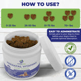 PREGNAPAWS Prenatal Vitamins for Dogs soft chews close-up