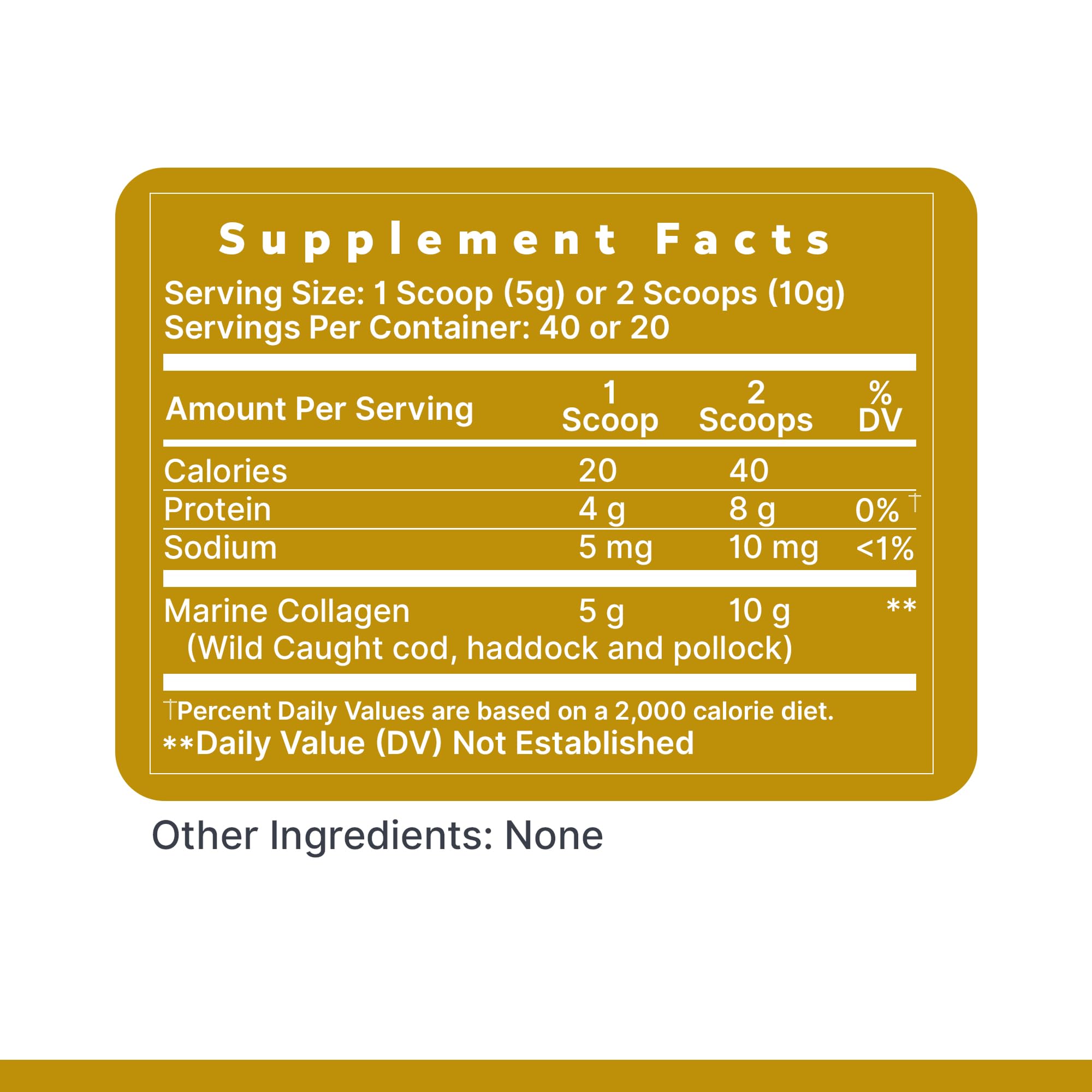 Premier Marine Collagen Peptides Powder in a kitchen setting