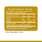 Premier Marine Collagen Peptides Powder in a kitchen setting