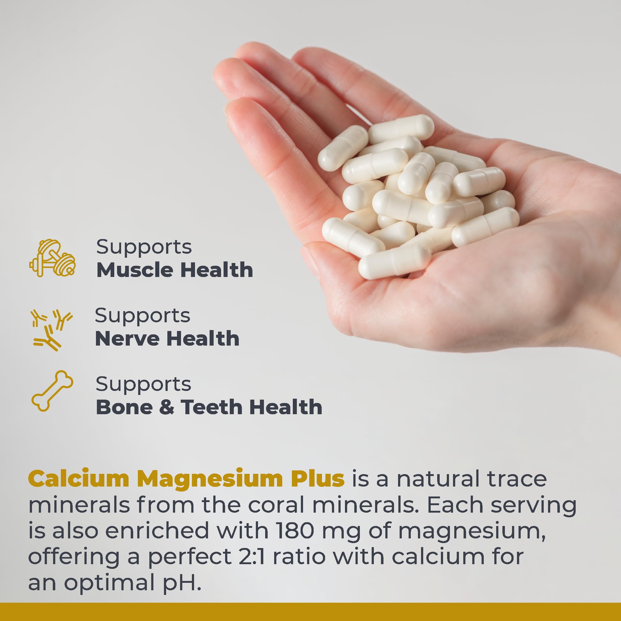 Premier Research Labs Calcium Magnesium Plus supplement capsule close-up