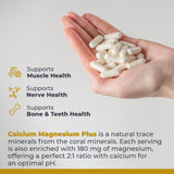 Premier Research Labs Calcium Magnesium Plus supplement capsule close-up