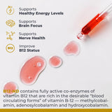 Premier Research Labs Liquid B12 Drops 2 fl oz with water glass