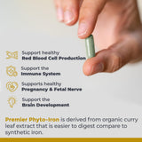 Premier Research Labs Phyto-Iron supplement label close-up