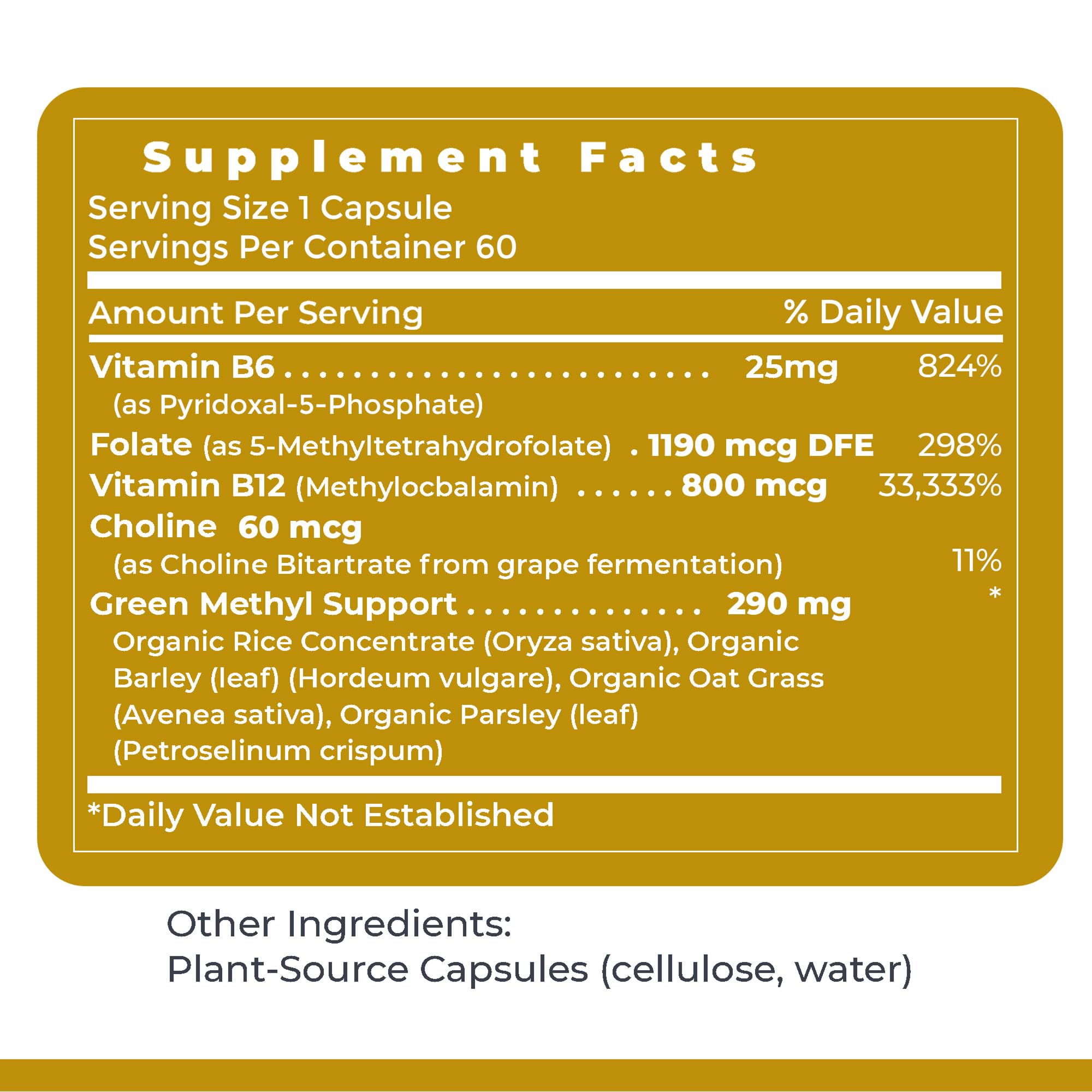 Premier Research Labs Phyto Methylate B-Complex Multivitamin in lifestyle setting