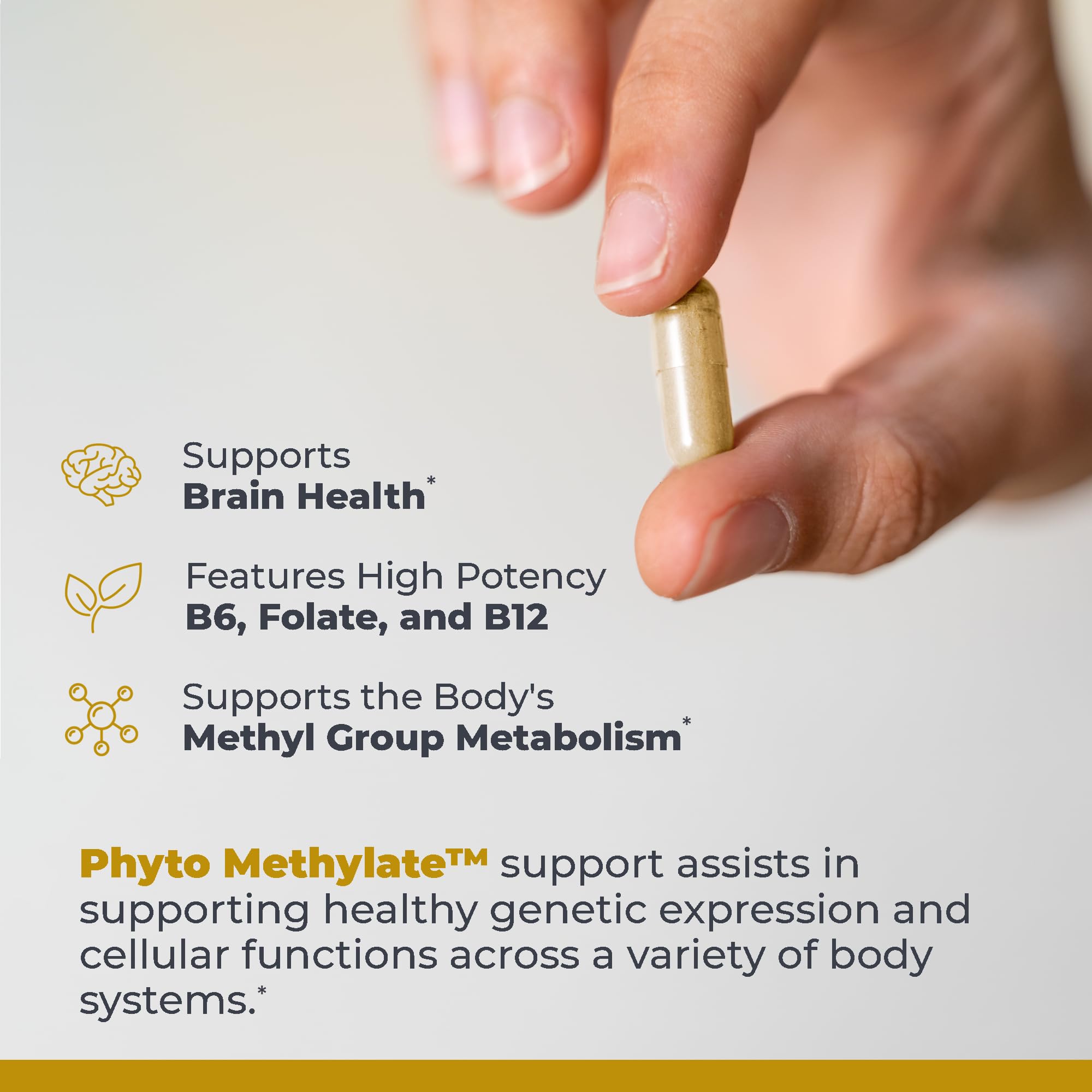 Premier Research Labs Phyto Methylate B-Complex Multivitamin packaging