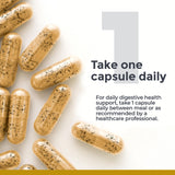 Premier Research Labs Probiotic Supplement packaging with dimensions