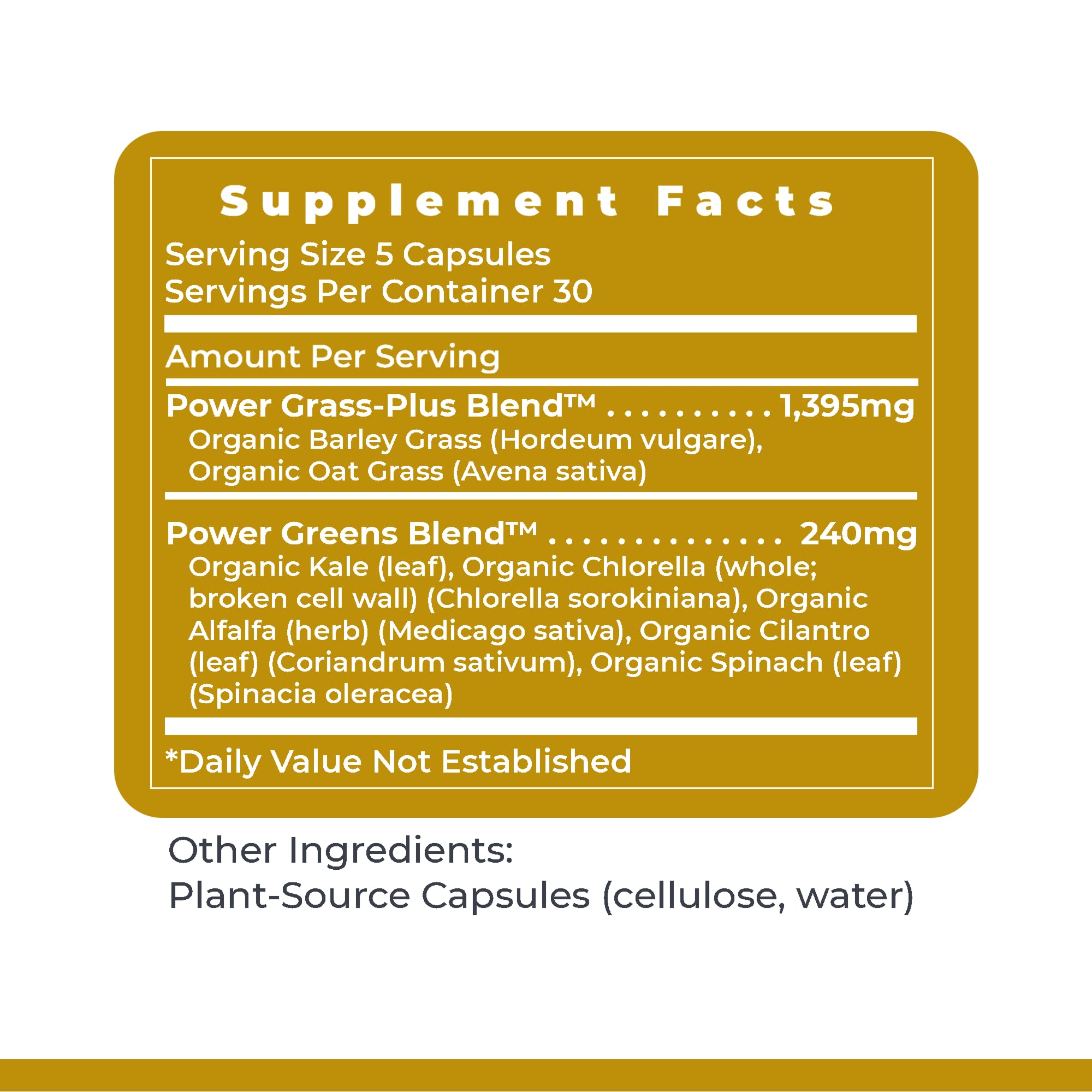 Premier Research Labs Super Greens Supplement 100g capsules with a measuring spoon