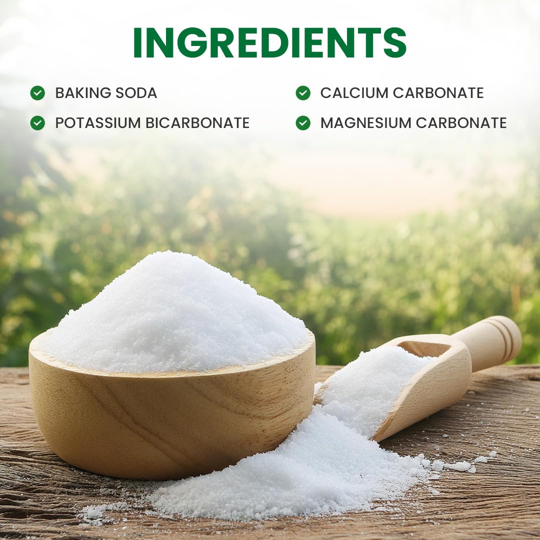 Premium Alkalinecare PHOUR Salts 476g with measuring scoop