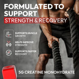 Premium Select Nutrition Creatine HCL Gummies close-up of gummies