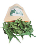 Preparation of neem leaf tea with dried leaves