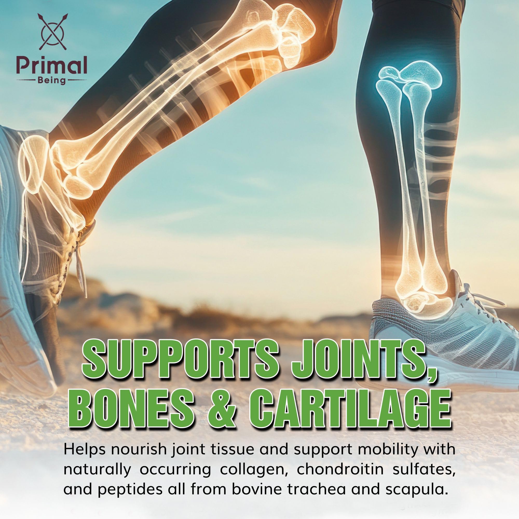 Primal Being Bioactive Collagen Capsules with a measuring spoon
