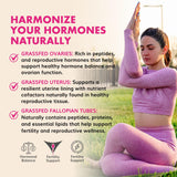 Primal Being Female Vitality capsules with green leaves