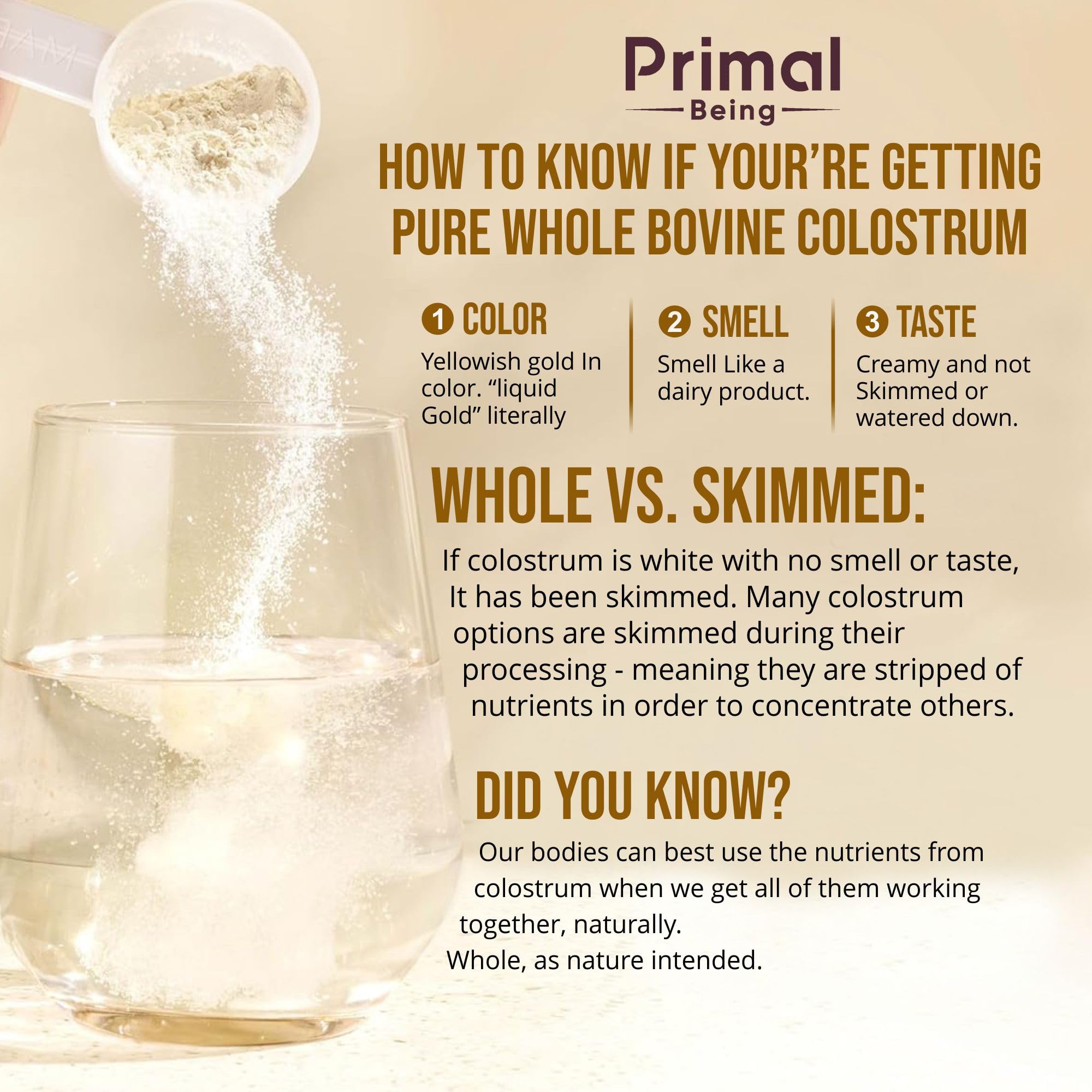 Primal Being Grassfed Colostrum Powder 126g mixed in a smoothie