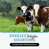 Primal Being Organ Supplement Capsules in a lifestyle setting