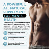 Primal Being Organ Supplement Capsules packaging close-up