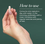 Primal Harvest Ashwagandha Supplement bottle side view