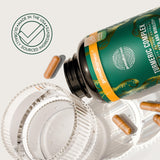 Primal Harvest Curcumin Supplement packaging details