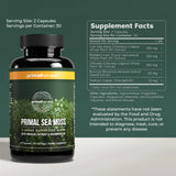 Primal Harvest Sea Moss Complex bottle side view