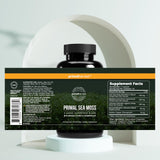 Primal Harvest Sea Moss Complex bottle with measuring spoon