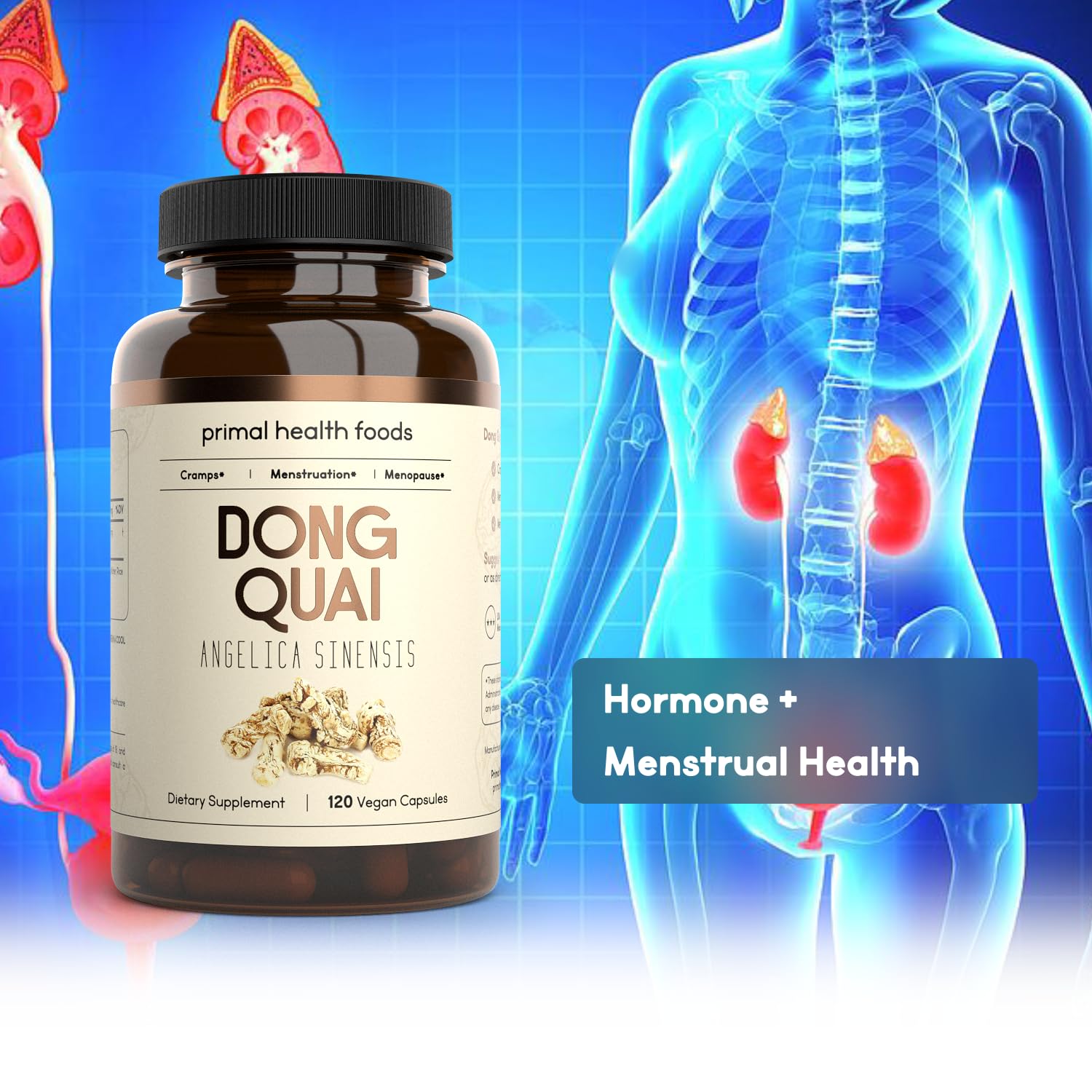 Primal Health Foods Dong Quai Herbal Supplement 236g with measuring scoop