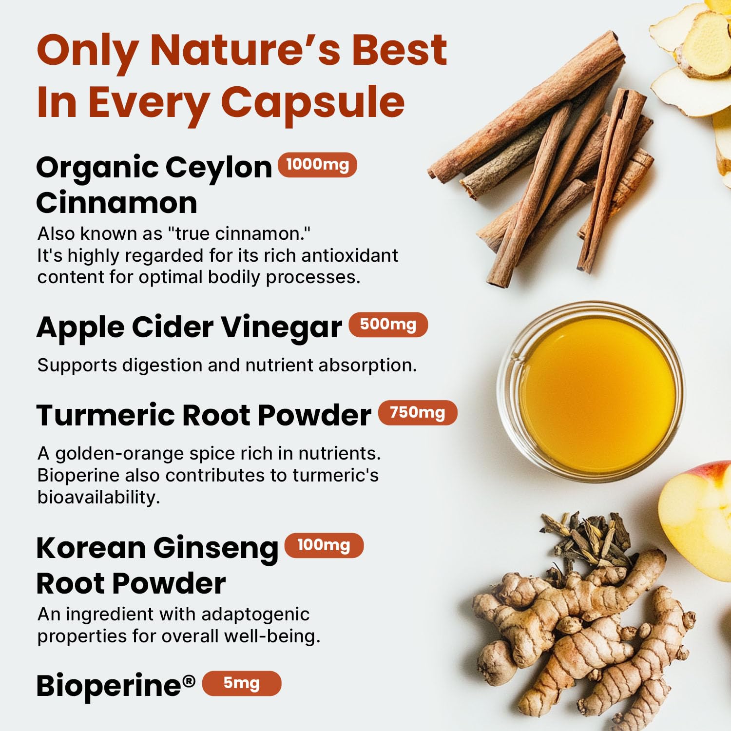 PrimeMD Ceylon Cinnamon Capsules showing ingredients list