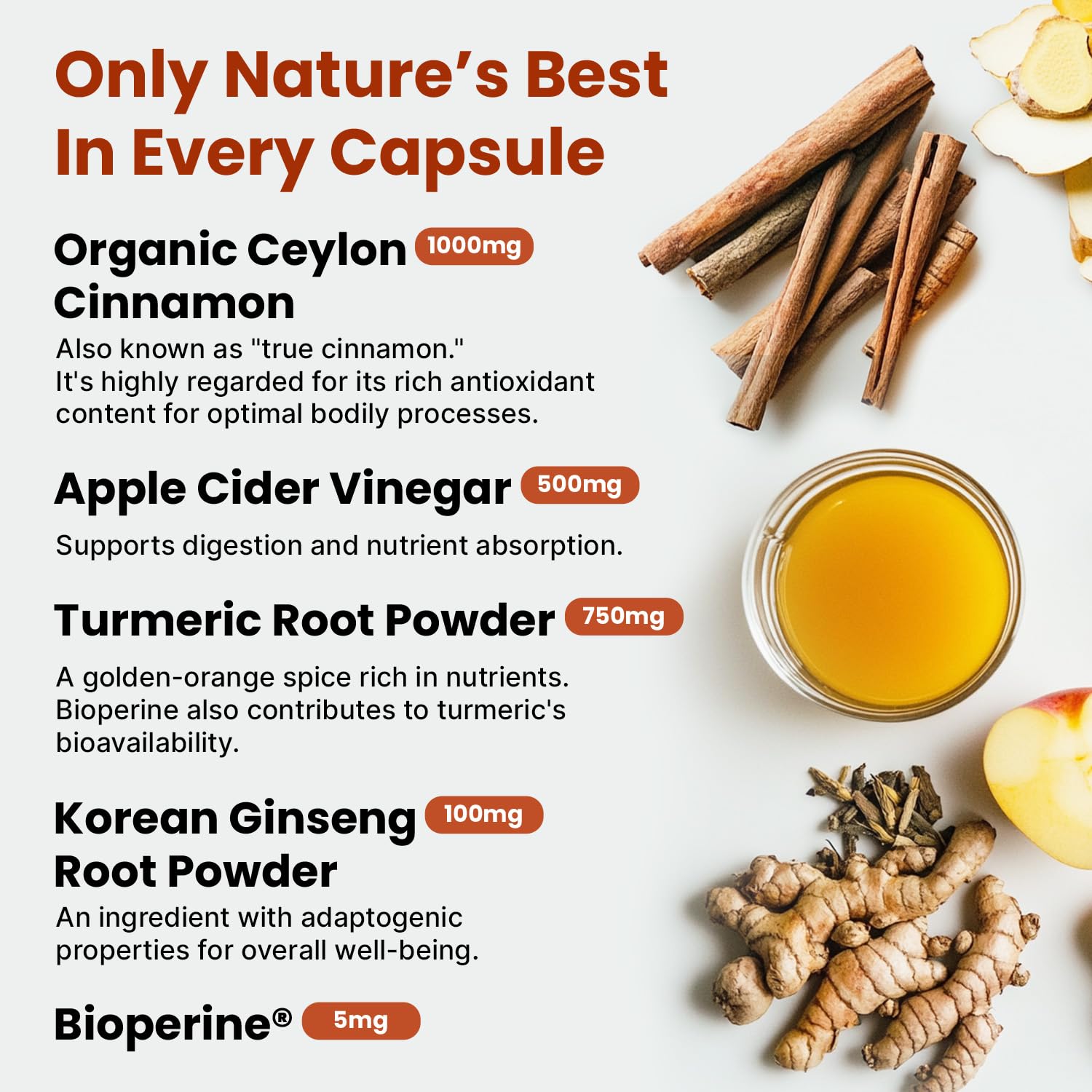 PrimeMD Ceylon Cinnamon Capsules with turmeric and ginseng ingredients