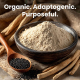 PrimeMD Maca Root Capsules showing the ingredients list