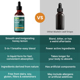 PrimeMD Mullein Leaf Drops 60ml with fresh ginger and marshmallow root